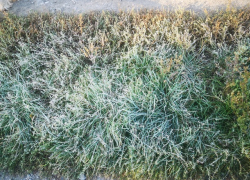 В Молдове ожидаются заморозки – погода на субботу 