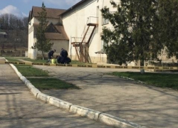 В Ниспоренском районе на дереве нашли воздушный шар со странной коробкой