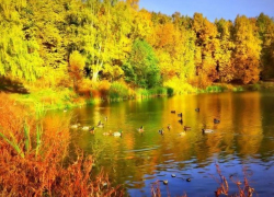 В пятницу в Молдове будет тепло и солнечно