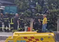 На молдаванку в Венеции упало большое дерево