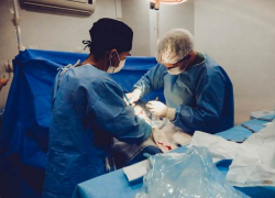 Молдову втягивают в международную черную схему забора и вывоза солдатских органов?