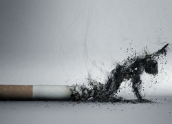 Табачный капкан: Как Молдова борется с курением"