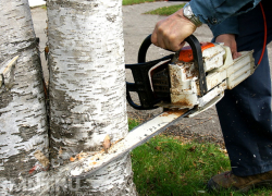 Современный Кишинев: какие деревья, у нас тут стройка!