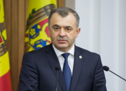 Кику снова идет в парламент брать ответственность