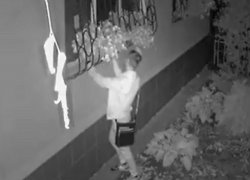 Глупые попытки "цветочного бандита" победить фигурные решетки в столице попали на видео