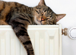 В Кишиневе без отопления остаются 1 500 многоквартирных домов 