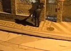 На Скулянке прохожий покусился на чужой почтовый ящик, нелепая попытка кражи попала на видео