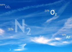 Качество воздуха под контролем: Власти внедряют новые системы мониторинга