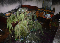 Молодые муж и жена погибли жуткой смертью в своей квартире утром 1 января