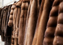 «Шубную» контрабанду пресекли таможенники в Кагуле    