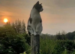 В понедельник в Молдове будет тепло и облачно 