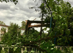 Разбушевавшийся ураган в Кишиневе срывал крыши и валил деревья