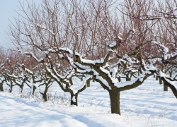 Исчезнувший в Рышканах мужчина написал предсмертную записку и совершил самоубийство