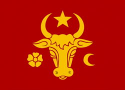 Букарский: только исторический флаг Молдовы примут все молдаване