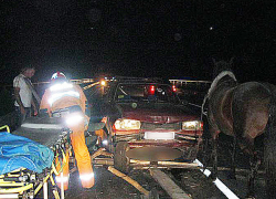 Пять человек пострадали в столкновении автомобиля и телеги в Сынжерейском районе