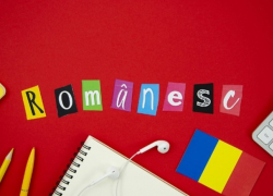 Сколько людей записались на бесплатные курсы румынского языка