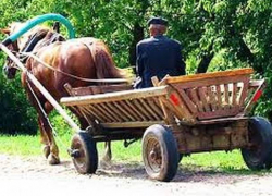 Ехавший на гужевой повозке мужчина получил тяжелые травмы от наехавшего автомобиля в Комратском районе