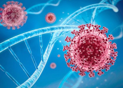 В Молдове выявлено 664 новых случаев COVID-19 