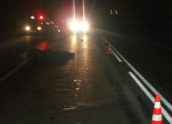 Смертельный наезд на пешехода в ночное время совершил водитель микроавтобуса в столице 