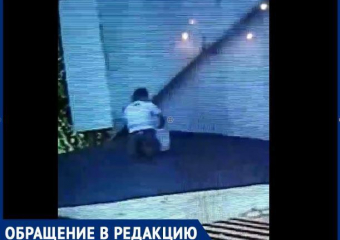 Семья с детьми-живодерами на Телецентре – их сын отрезал голубю голову осколком бутылки