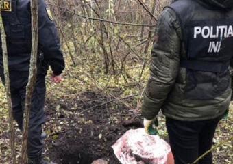 В Яловенском районе обнаружили марихуану на 1,3 млн леев