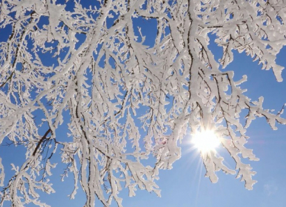 Минувшая ночь стала самой холодной для Молдовы текущей зимой