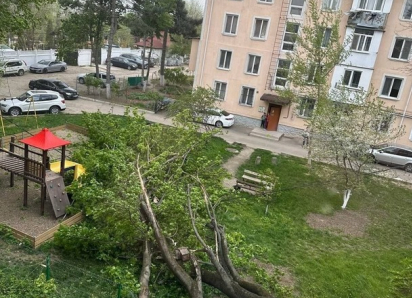 В Молдове оранжевый код из-за сильнейшего ветра