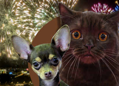 ANSA: фейерверки опасны для животных и окружающей среды