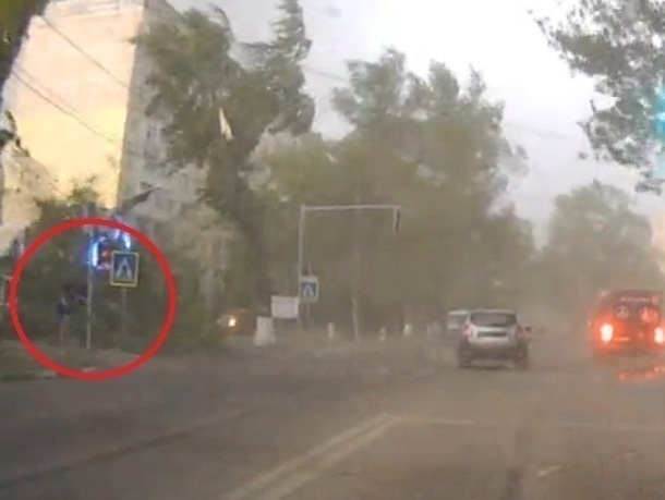 Падение дерева, чудом не убившего пешехода, попало на видео в Унгенах