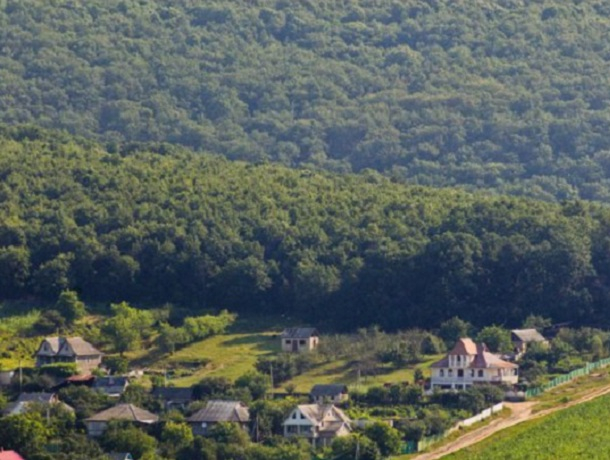 В Молдове стартует масштабная правительственная кампания по озеленению страны