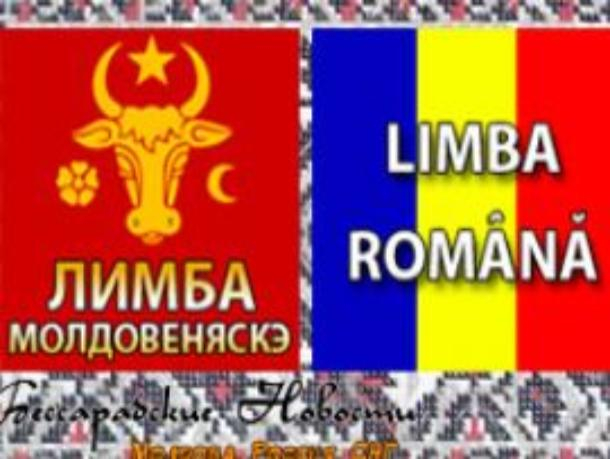 Ученые Академии наук «безоговорочно» поддерживают PAS в изменении названия языка с молдавского на румынский