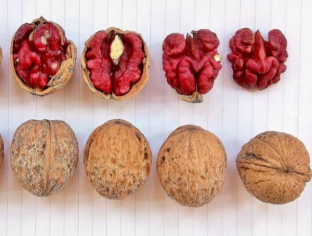 Житель Молдовы зарегистрировал новый сорт «гламурного» ореха