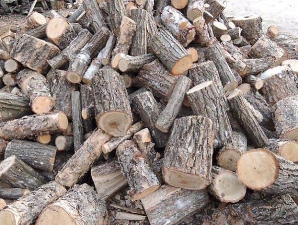 Правительство выпотрошит из резервного фонда 64,2 млн леев для предотвращения роста цен на дрова