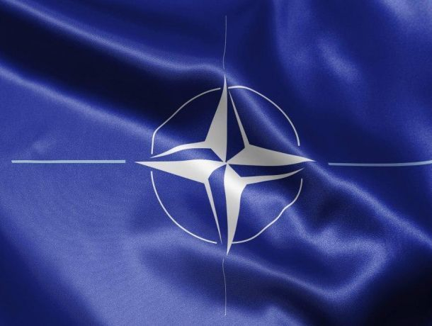 В Парламентской ассамблее НАТО договорились активнее противостоять «российской угрозе» в Молдове и Украине