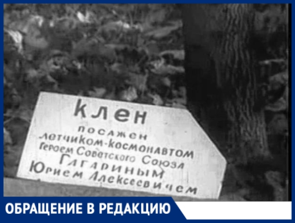 Дерево Гагарина в Кишиневе: табличка установлена не там - «Кадетское Братство»