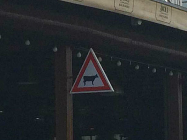 «Осторожно, быки»: известный ресторан в Кишиневе обозначили курьезным предупреждением
