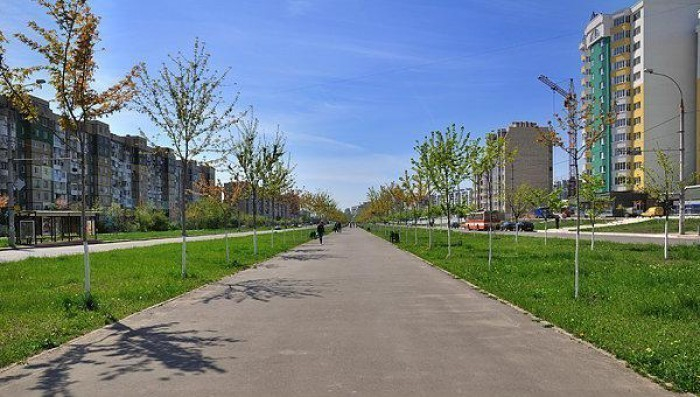 Муниципальные власти планируют расширить столичный бульвар Мирча чел Батрын и объединить его с улицей Буковиней