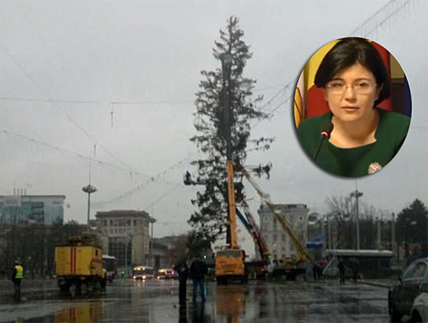 На деньги, возвращенные за позорную елку из Украины, Раду решила высадить в Кишиневе 15 елей 