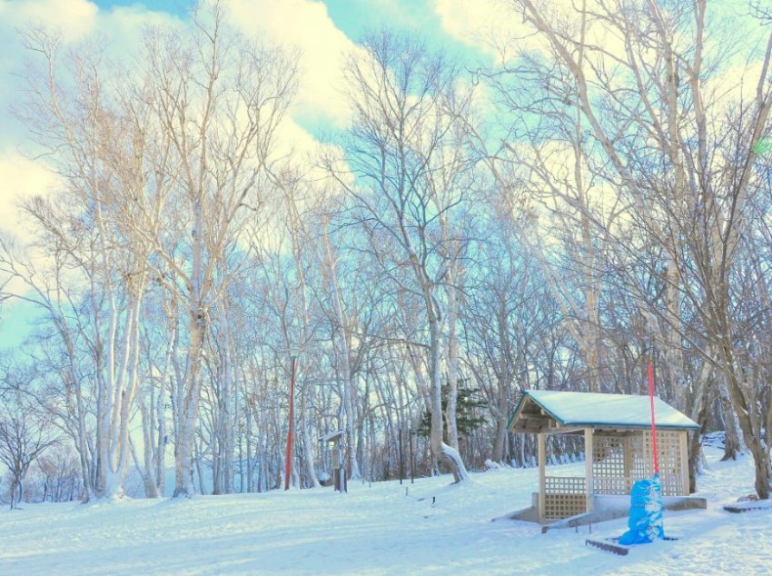 В Молдову идут сильные морозы: температура опустится до −20 градусов