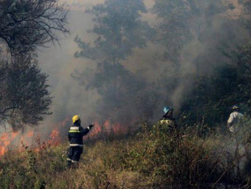 Пожарные бьют тревогу: риск пожаров высок