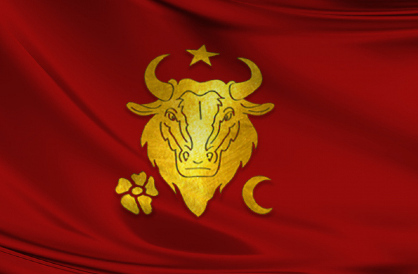 Президент предложил сделать красное знамя с головой тура национальным символом Молдовы