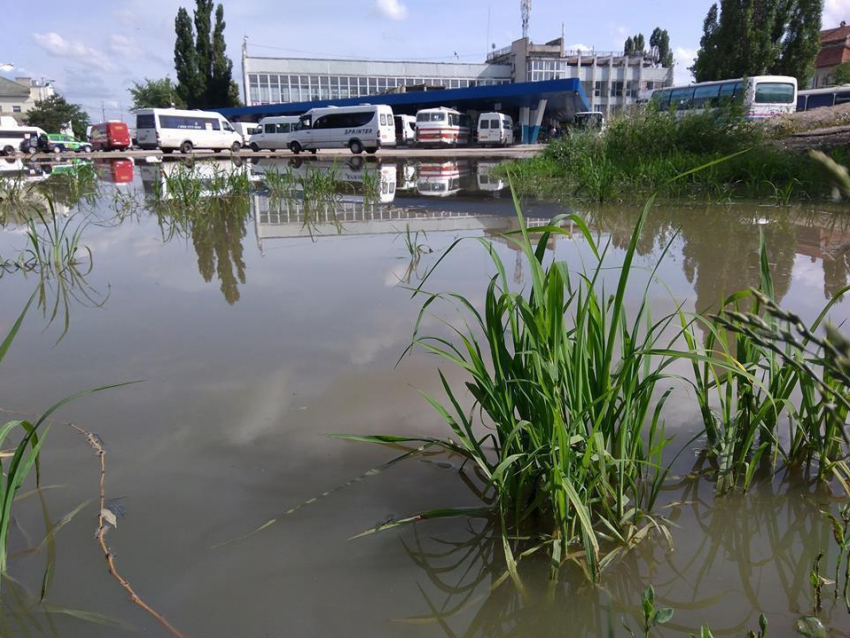 В Бельцах ливень затопил автовокзал