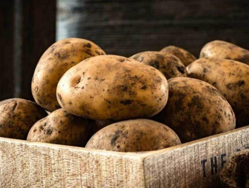 Министр сельского хозяйства потратил целый день на поиски дешёвой картошки, пытаясь доказать, что цены не растут, а падают