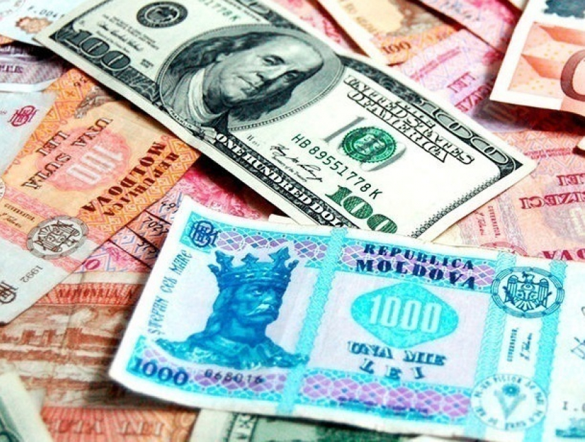 Молдаван призвали не паниковать из-за падающего доллара
