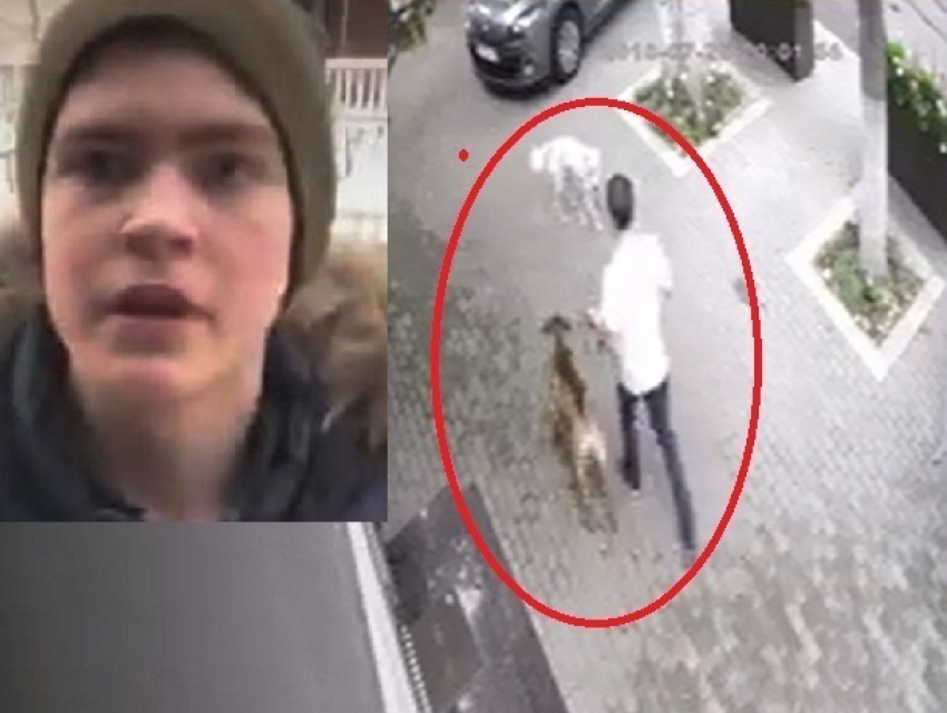 Хозяин пса натравил его на собаку и пригрозил убить бездомных животных в Кишиневе
