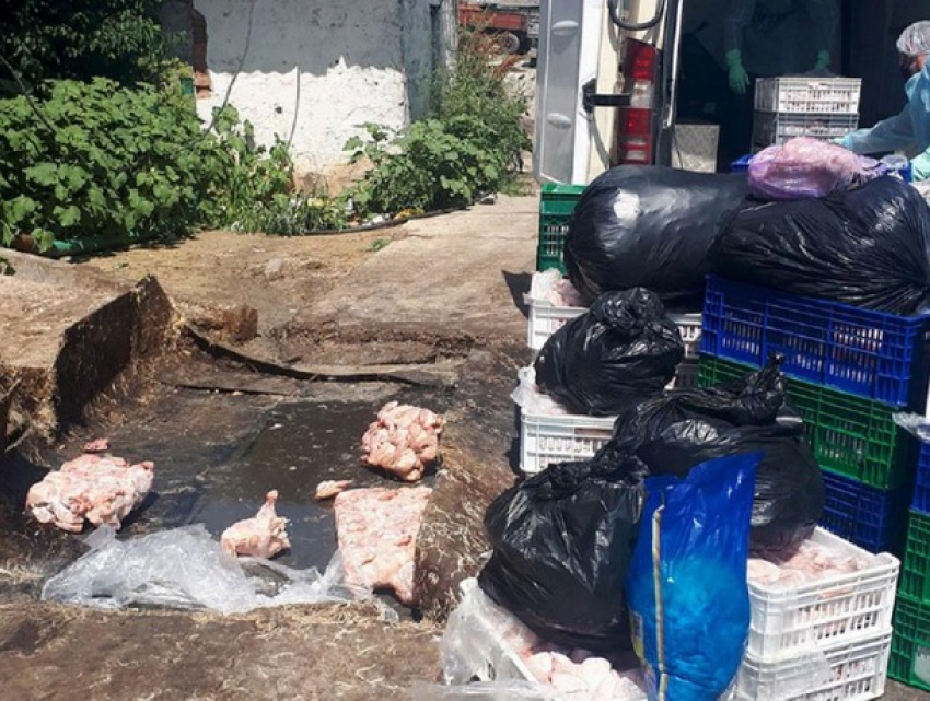 Более 1,5 тонн мяса с сальмонеллой выявили инспекторы ANSA