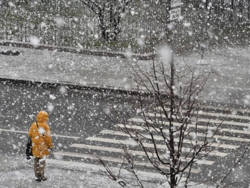 Первый день весны в Молдове будет холодным и ветреным 
