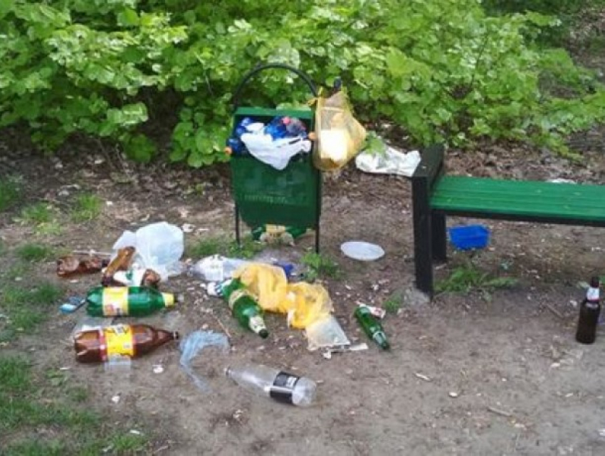 Хотите мусорить в парках Кишинева - готовьте четвертинушку зарплаты