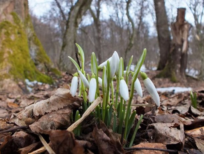 Среда будет очень теплой: погода в Молдове 
