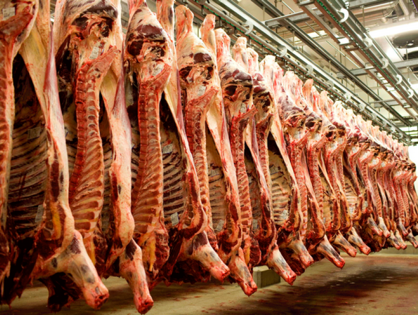 Правительство изменит механизм распределения льготных квот на импорт мяса из ЕС